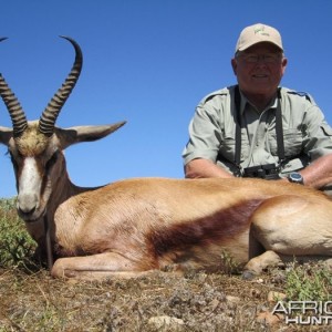 Copper Springbuck