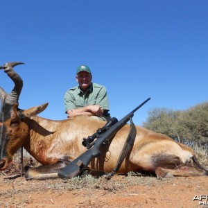 Steve Willbanks Red Hartebeest