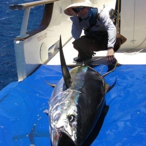 Clipperton (French) Yellowfin Tuna