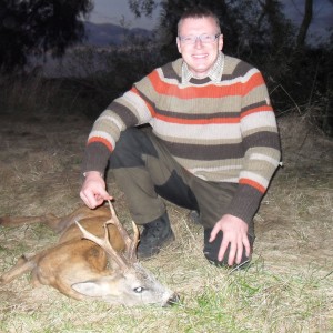 Gold medal roe buck