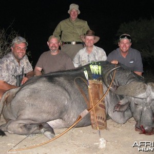 Limpopo Big Game Safaris Cape Buffalo