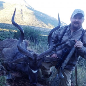 44 inch Kudu