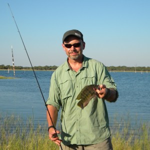 Lake Kariba Tilapia