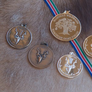 NAPHA medals