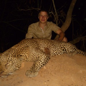 Very Big Leopard