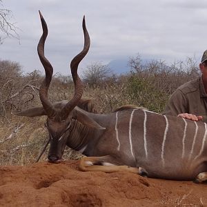 Lesser Kudu Tanzania