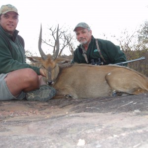 Bushbuck.