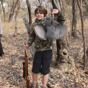 guineafowl, zambia, takeri august 2012