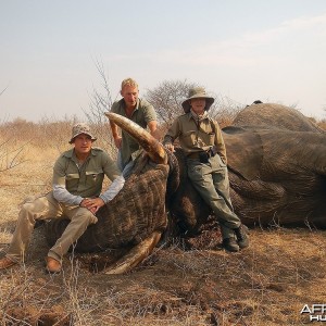 Namibia' Elephant - 1