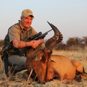 Red Hartebeest