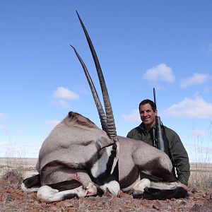 Gemsbok