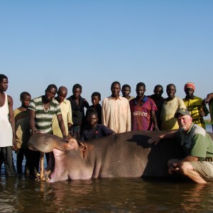 Hippo Mozambique