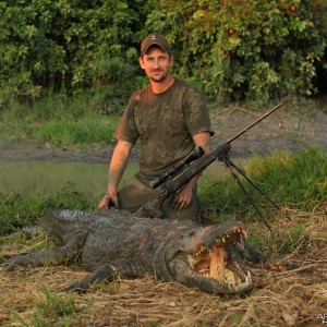 Mozambique Crocodile
