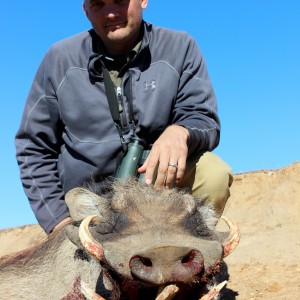 Warthog