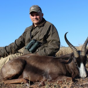 Black springbok