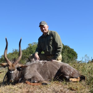 Nyala