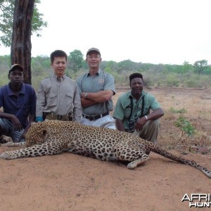 Zimbabwe's Leopard