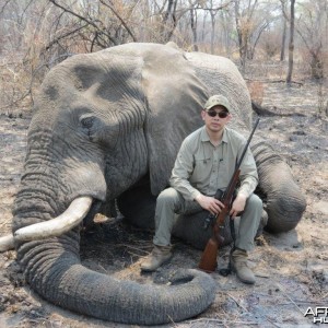 Elephant Namibia