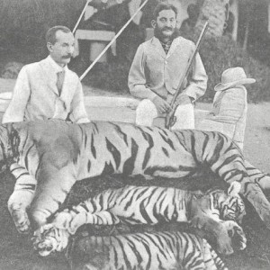 H.H. Nizam Asaf Jah VI Tiger Hunt Hyderabad India 1906