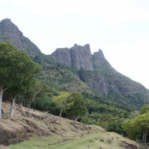 Hunting Grounds in Mauritius