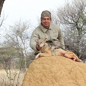 Hunting Jackal in Namibia