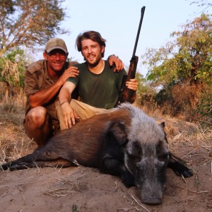 Hunting Bushpig