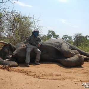Zimbabwe 2012 2nd Elephant
