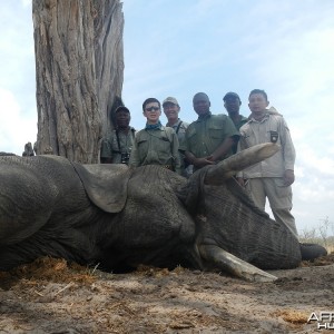 Zimbabwe 2012 4th Elephant
