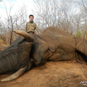 Zimbabwe 2012 6th Elephant