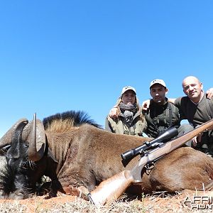 Black Wildebeest hunted with Wintershoek Johnny Vivier Safaris