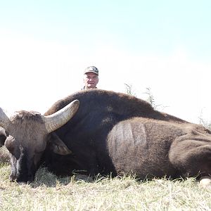 Gaur hunted with Wintershoek Johnny Vivier Safaris