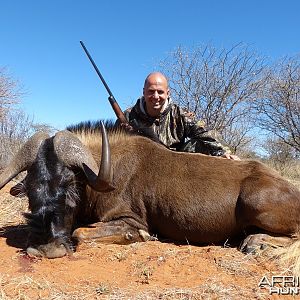 Black Wildebeest hunted with Wintershoek Johnny Vivier Safaris