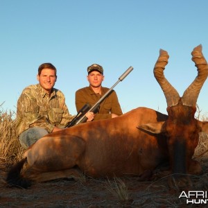 Red Hartebeest hunted with Wintershoek Johnny Vivier Safaris