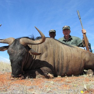 Blue Wildebeest hunted with Wintershoek Johnny Vivier Safaris
