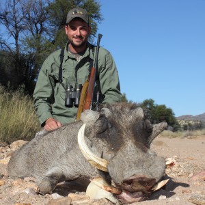 Warthog Namibia 2012