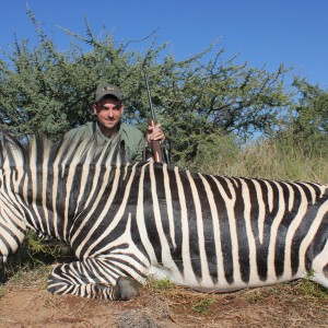 Zebra Namibia 2012