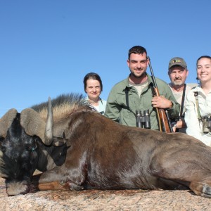 Black Wildebeest Namibia 2012