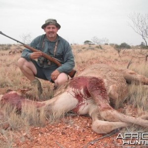 Hunting Camel in the Australian Outback