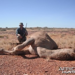 Hunting Camel in the Australian Outback