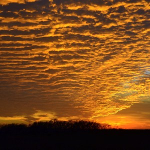 King Ranch Sunset