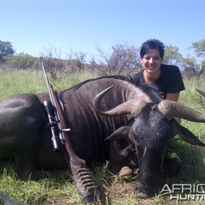 29" wildebeest hunted with HGS