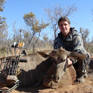 cow kudu