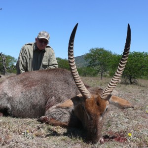 Waterbuck