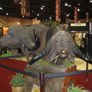 Taxidermy at Safari Club International Convention