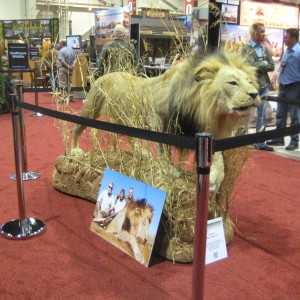 Taxidermy at Safari Club International Convention