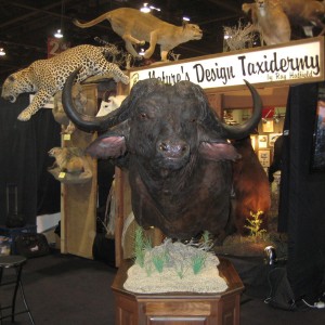 Taxidermy at Safari Club International Convention