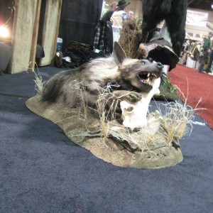 Taxidermy at Safari Club International Convention