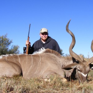 Greater Kudu