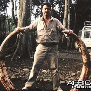 50 lbs Elephant Tusks
