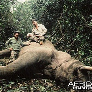 Elephant that tried to eat us... Ethiopia
